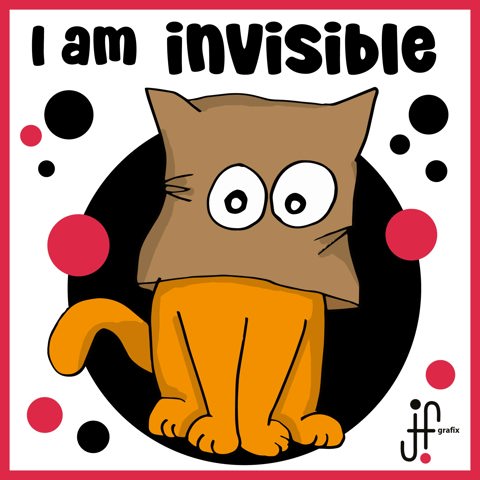I am invisible