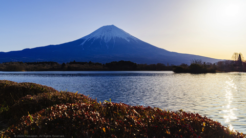 Mt. Fuji Views from Lake Tanuki