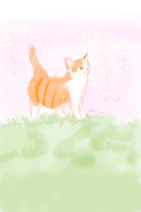 spring cat 🌸🐈