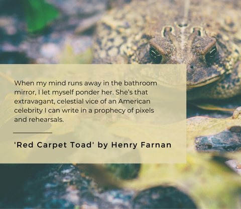 ‘RED CARPET TOAD’ BY HENRY FARNAN