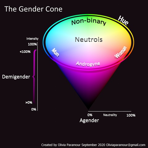 Gender Cone