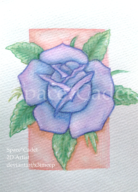 Valentine's Purple Rose