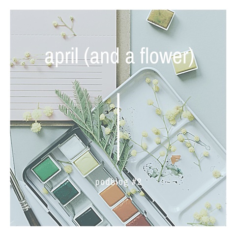 podblog 2 | april (and a flower)