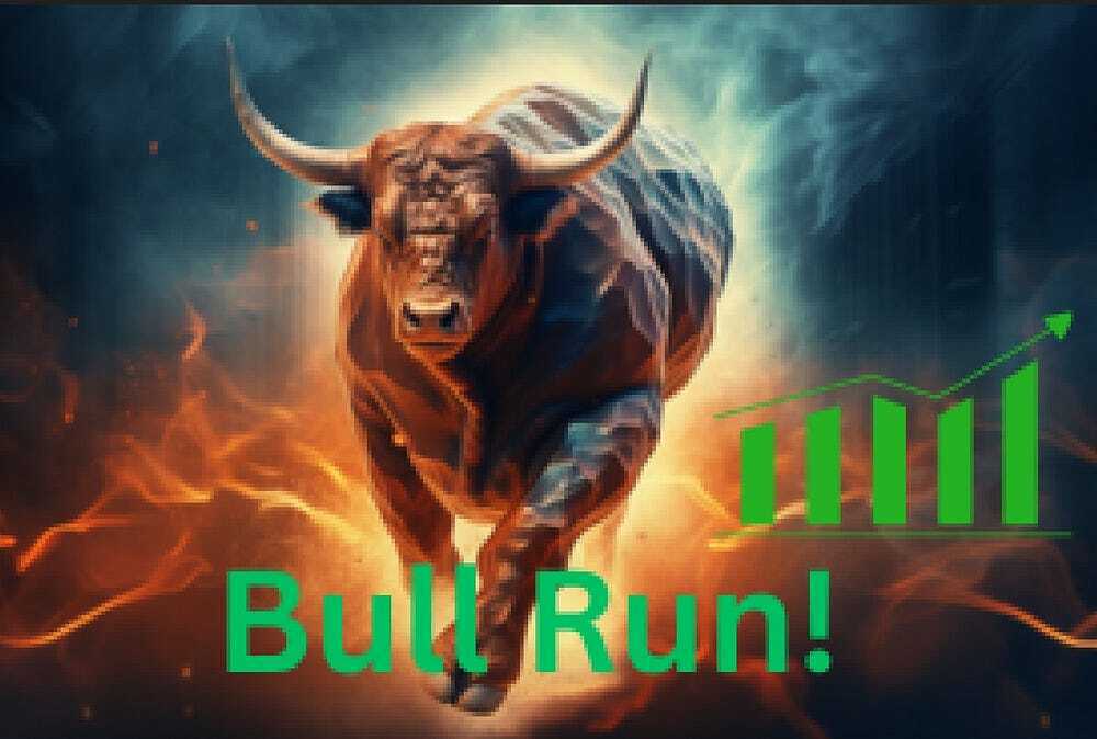 The Bull Run!
