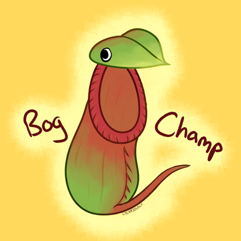 Bog Champ - Nepenthes