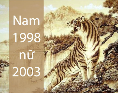 Tuổi Hợp Làm Ăn và Hôn Nhân