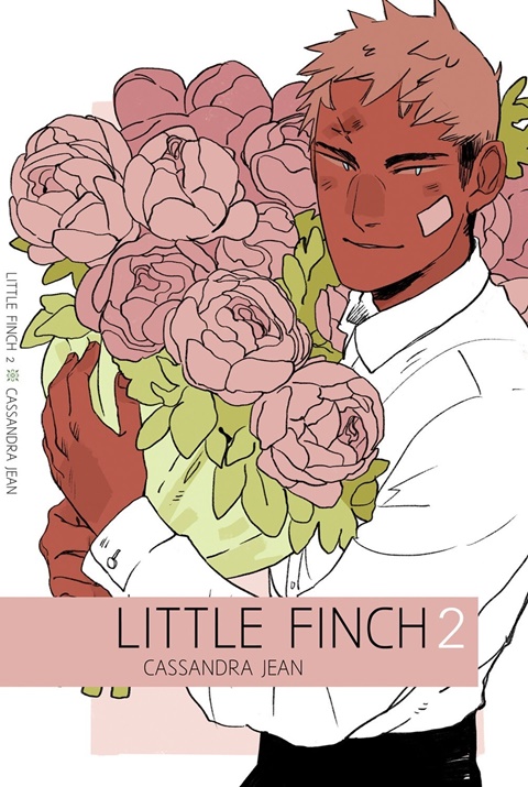 Little Finch 2 [digital artbook]