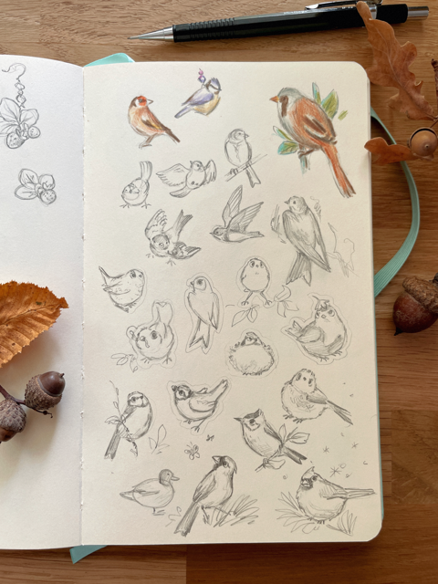 Birds sketchbook page