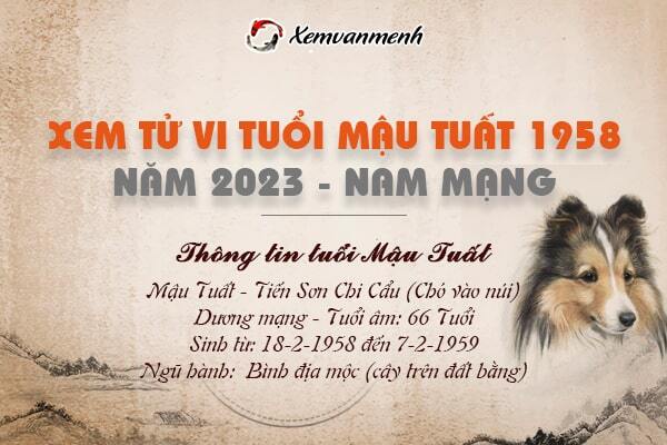 Tử Vi Tuổi Tuất Sinh Năm 1958: Dự Báo Chi Tiết Cho Năm 2024