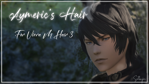 Aymeric's Hair For Viera Male 3