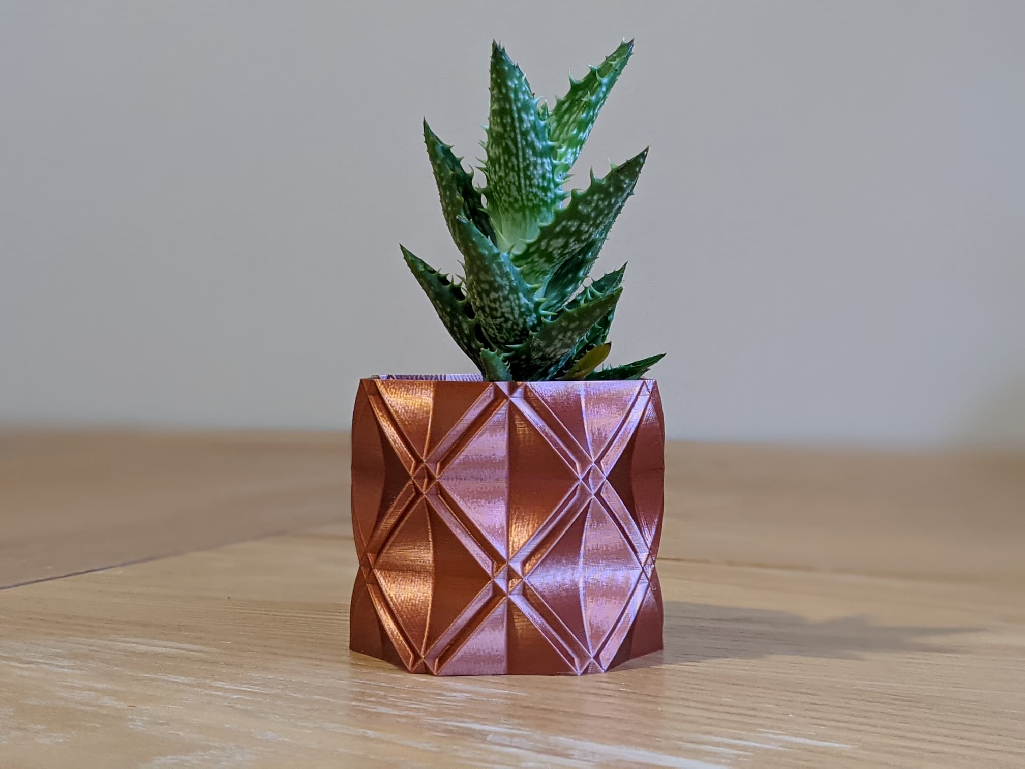 Succulent Plant Pot / Planter "Barry"