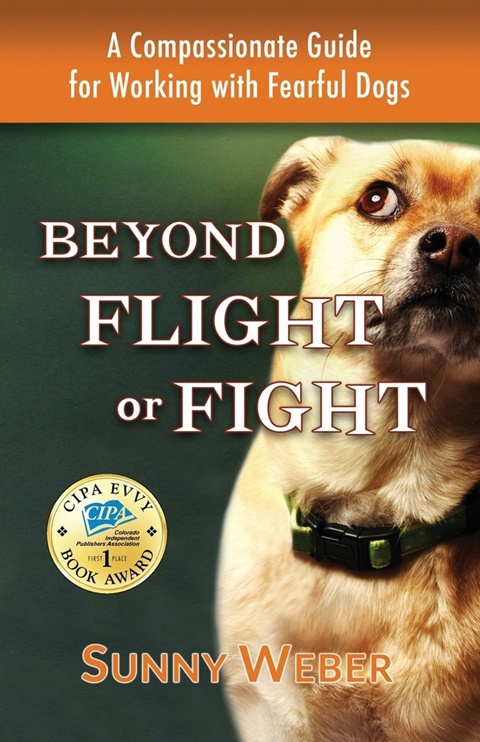 Beyond Flight or Fight by Sunny Weber