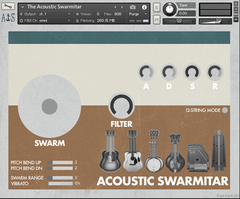 The Acoustic Swarmitar