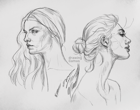 Sketches from reference