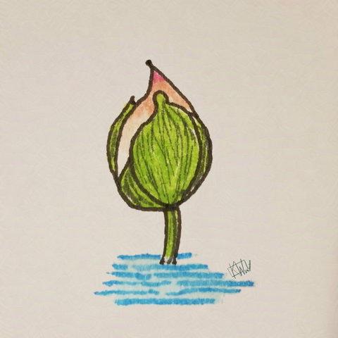 The new #KWPrompts Art Challenge is #Plants!