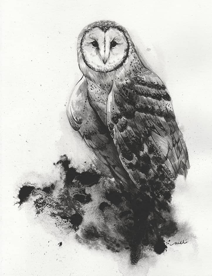 Owl in Ink