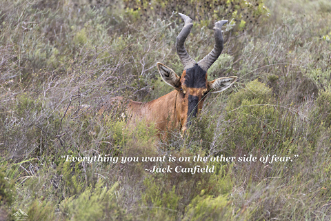 Quote by Jack Canfield