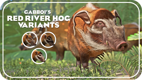 Red River Hog Variants are out!