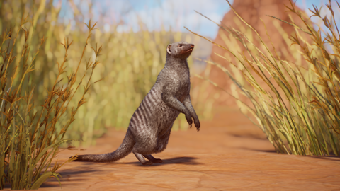 Banded Mongoose Mod Remake