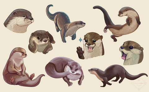 Critter Study 2: Otters 