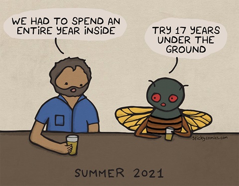 Hot Vax Cicada Summer
