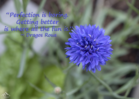 Quote by Dragos Roua