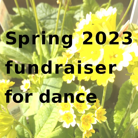 Spring 2023 fundraiser for dance