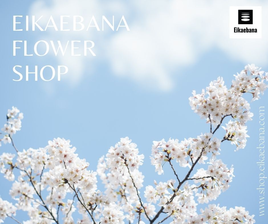 Discover Eikaebana's Collection