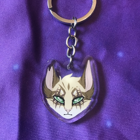 Ravenpaw Warrior Cats Keyring Charm