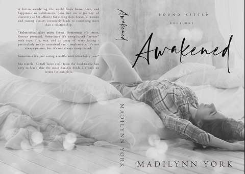 Awakened, Cover & Description