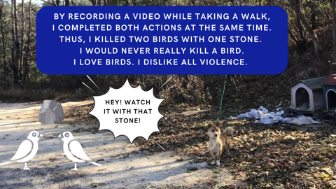 Idiom: To Kill Two Birds with One Stone 