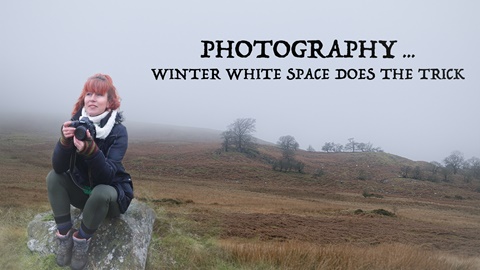 PHOTOGRAPHY - WINTER WHITE SPACE DOES THE TRICK