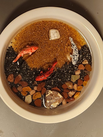 Fish pond in a dish