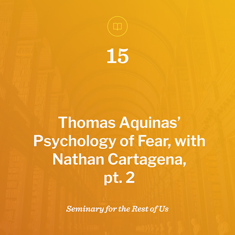 Thomas Aquinas' Psychology of Fear, pt 2