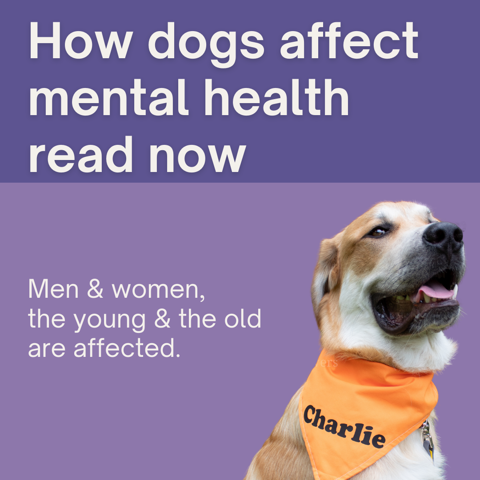 How Dogs Help Our Mental Health