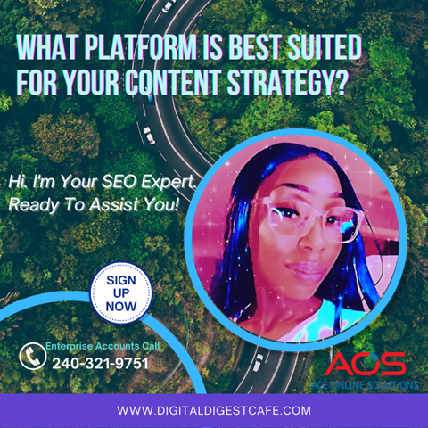 What Platform Best Suits Your Content Strategy? 