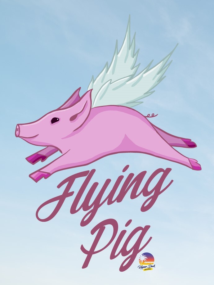 Flying Pig Illustration & Design