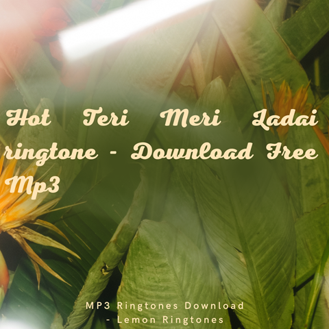 Hot Teri Meri Ladai ringtone - Download Free Mp3