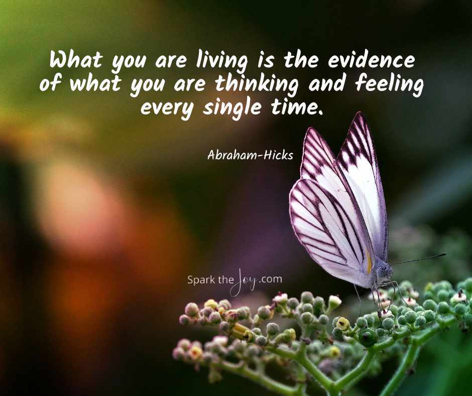 Click to view gallery