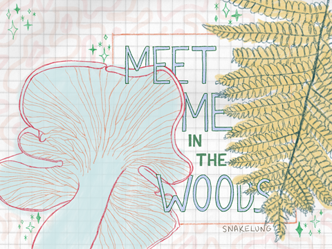 🌿 meet me in the woods 🍄