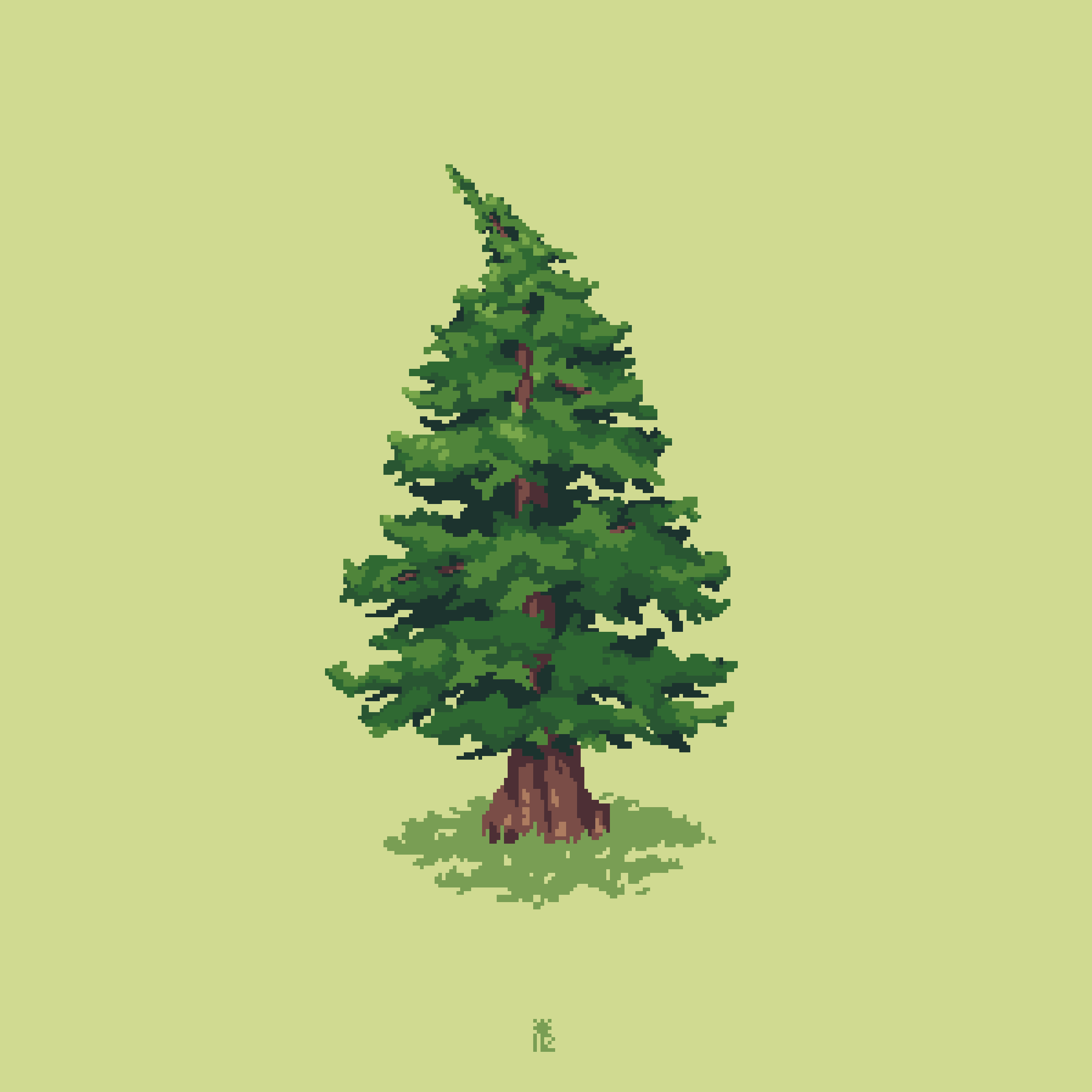 A nice pine tree