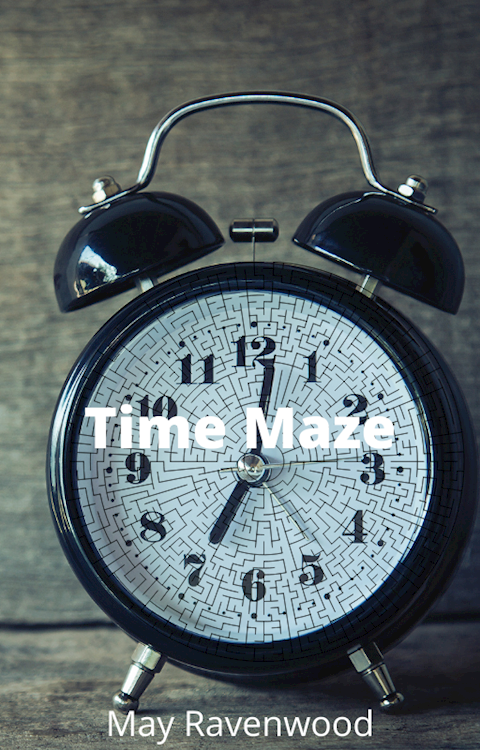 Time Maze (temporary cover)