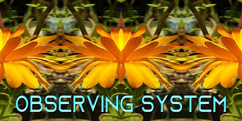 Observing System banner