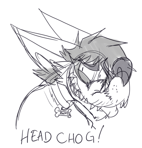 Head Chog