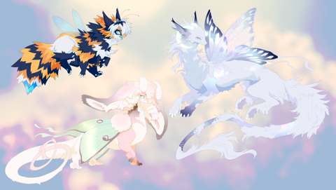 Fairy Dragon Adopts