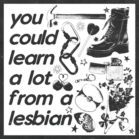 you could learn a lot from a lesbian 