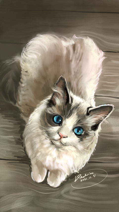 Cat with blue eyes