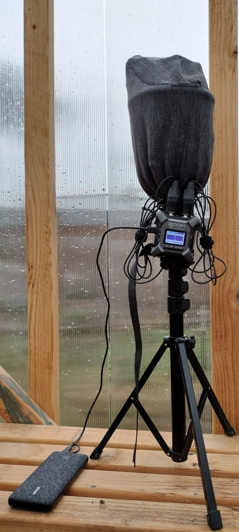 Recording rain in the greenhouse 