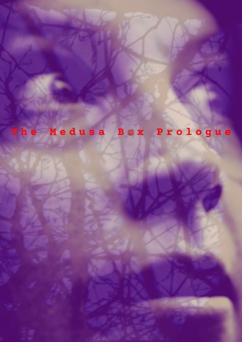 THE MEDUSA BOX PROLOGUE - POSTER