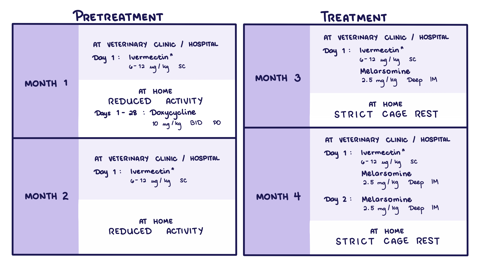Heartworm Treatment Summary
